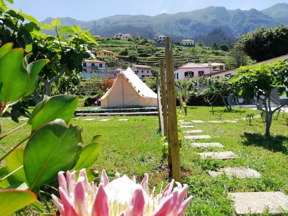 Granny'S Farm Casa de hóspedes São Vicente Exterior foto